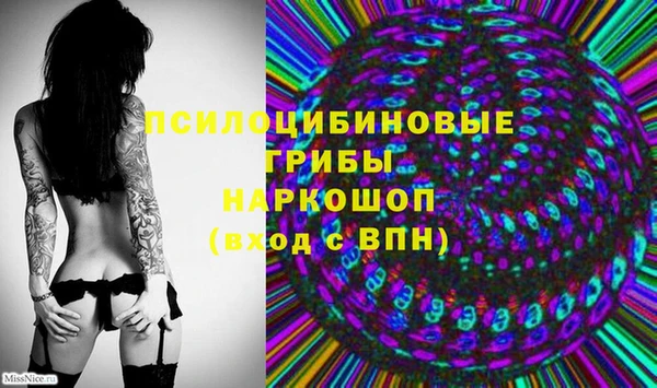 шишки Алексин