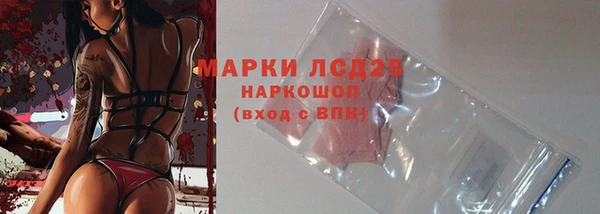 шишки Алексин