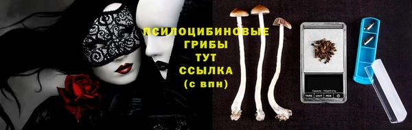 прущие грибы Алзамай