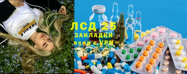 прущие грибы Алзамай