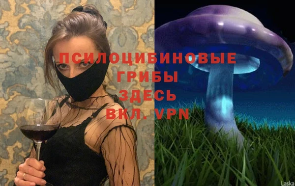 шишки Алексин
