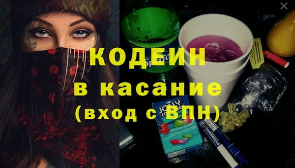 прущие грибы Алзамай