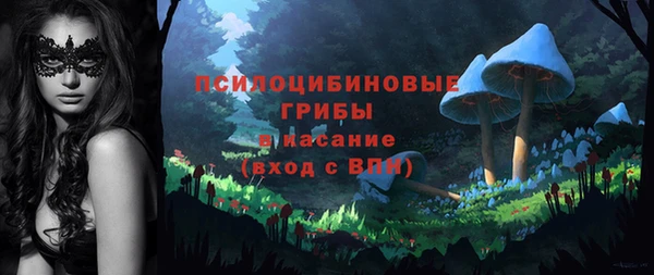 шишки Алексин