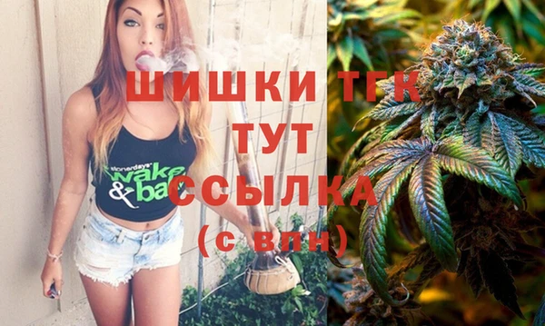 прущие грибы Алзамай