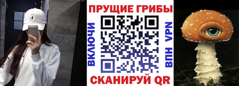 Галлюциногенные грибы ЛСД  Зуевка 